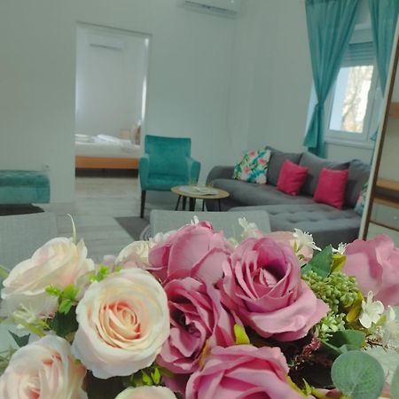 Apartman Radovic Semêndria Exterior foto