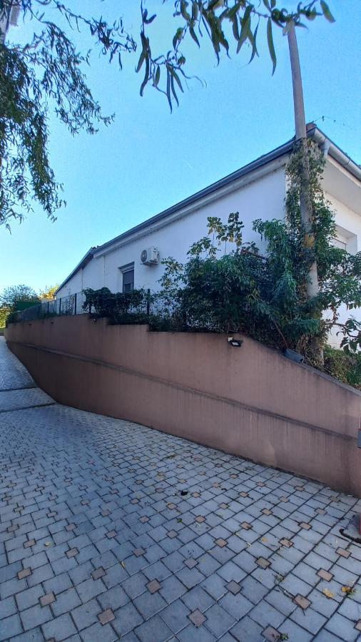 Apartman Radovic Semêndria Exterior foto