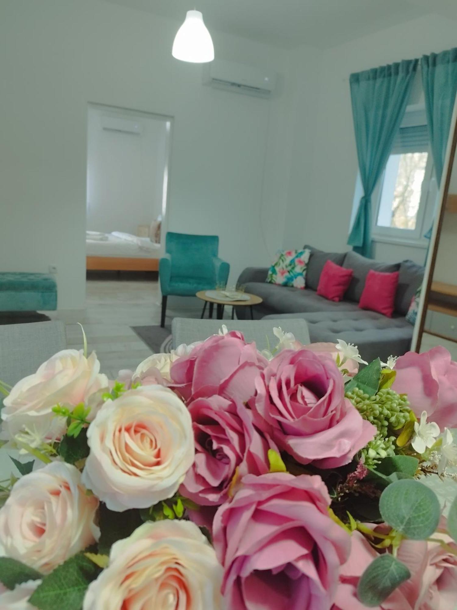 Apartman Radovic Semêndria Exterior foto